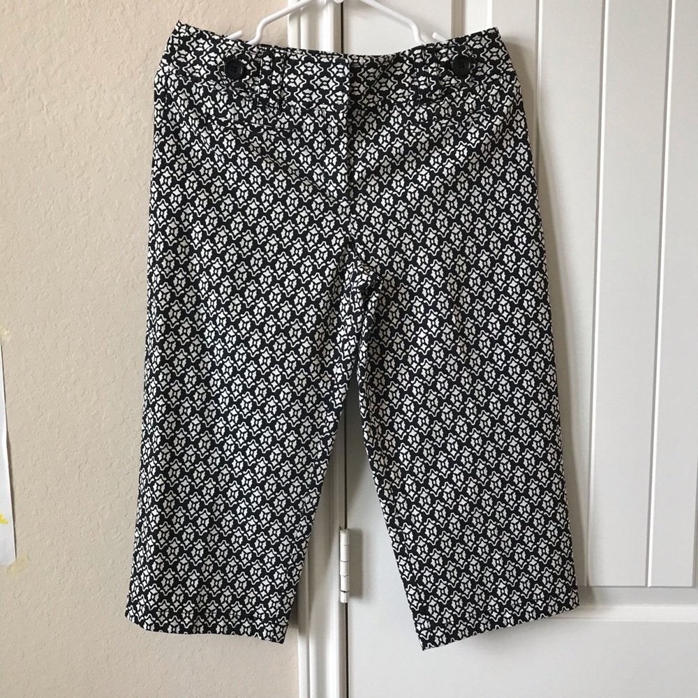 Ann Taylor Capri